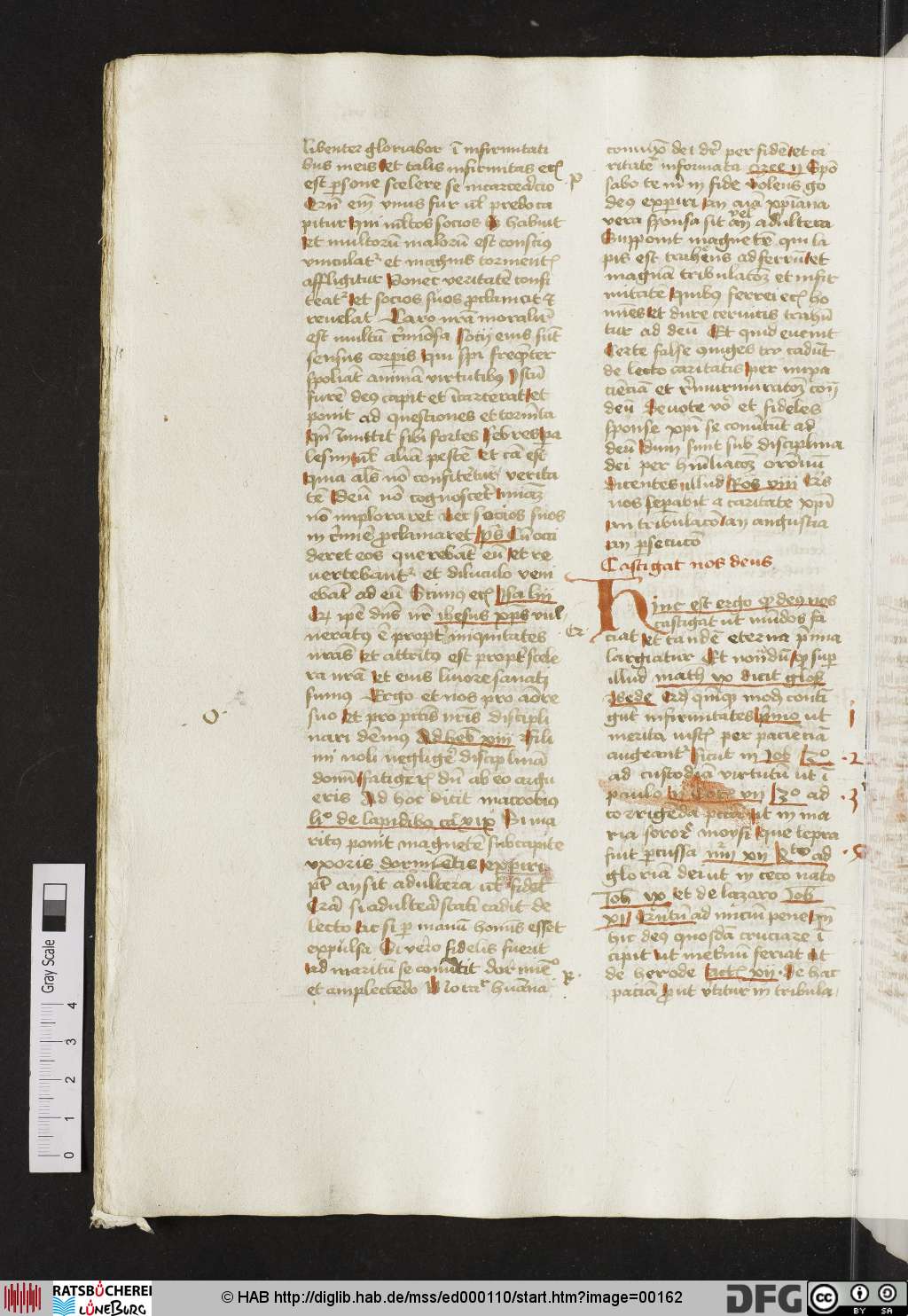 http://diglib.hab.de/mss/ed000110/00162.jpg