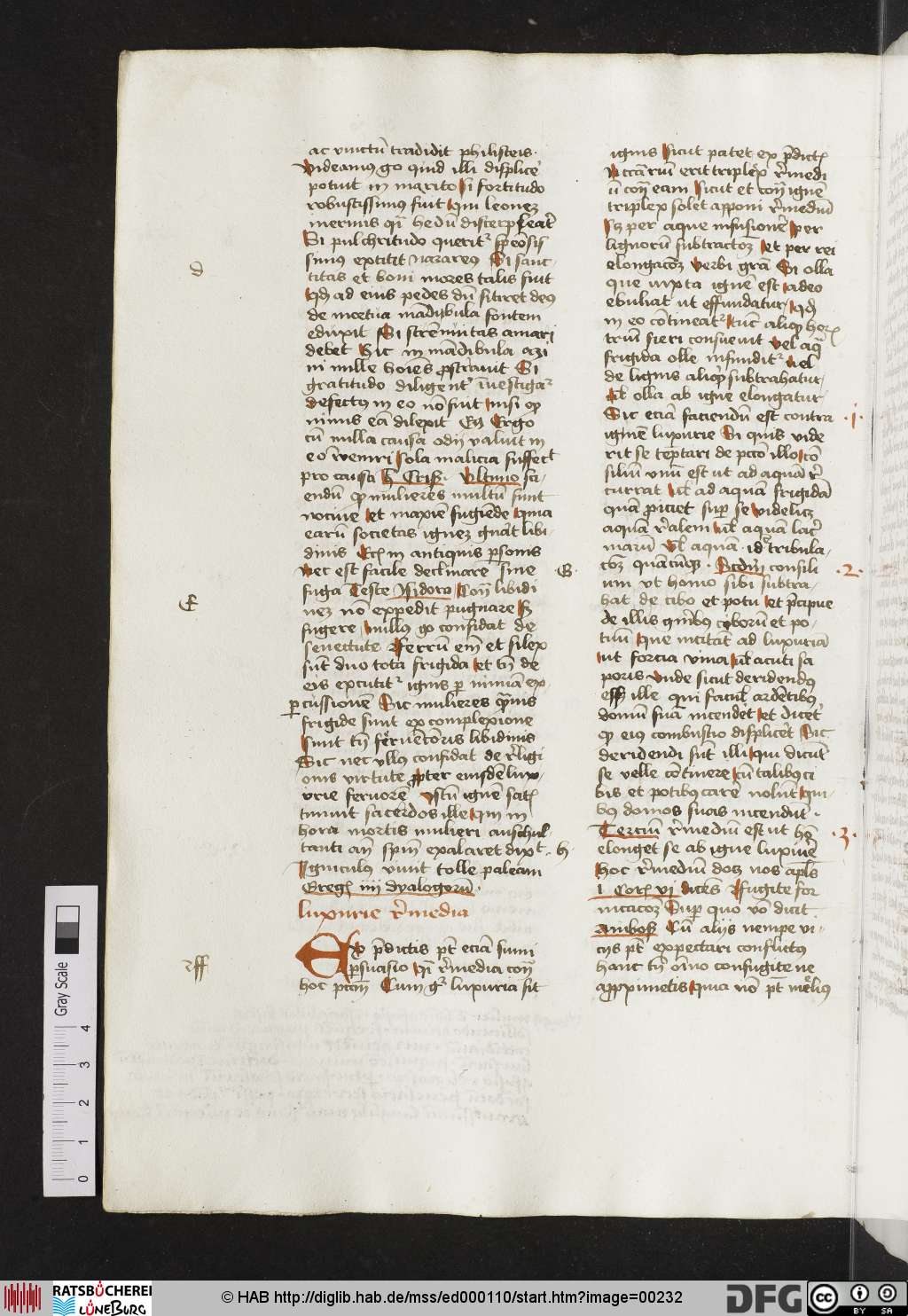 http://diglib.hab.de/mss/ed000110/00232.jpg