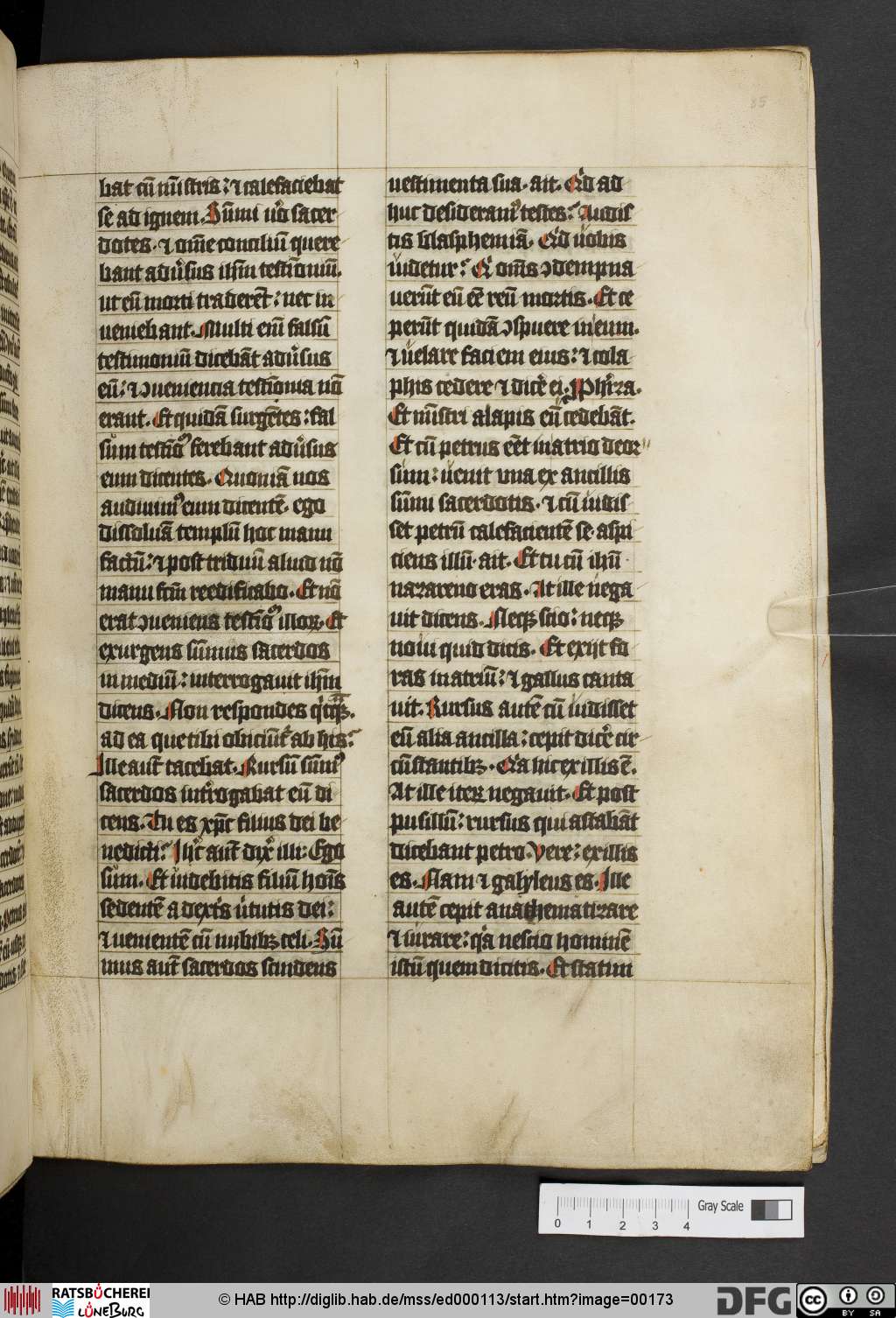 http://diglib.hab.de/mss/ed000113/00173.jpg
