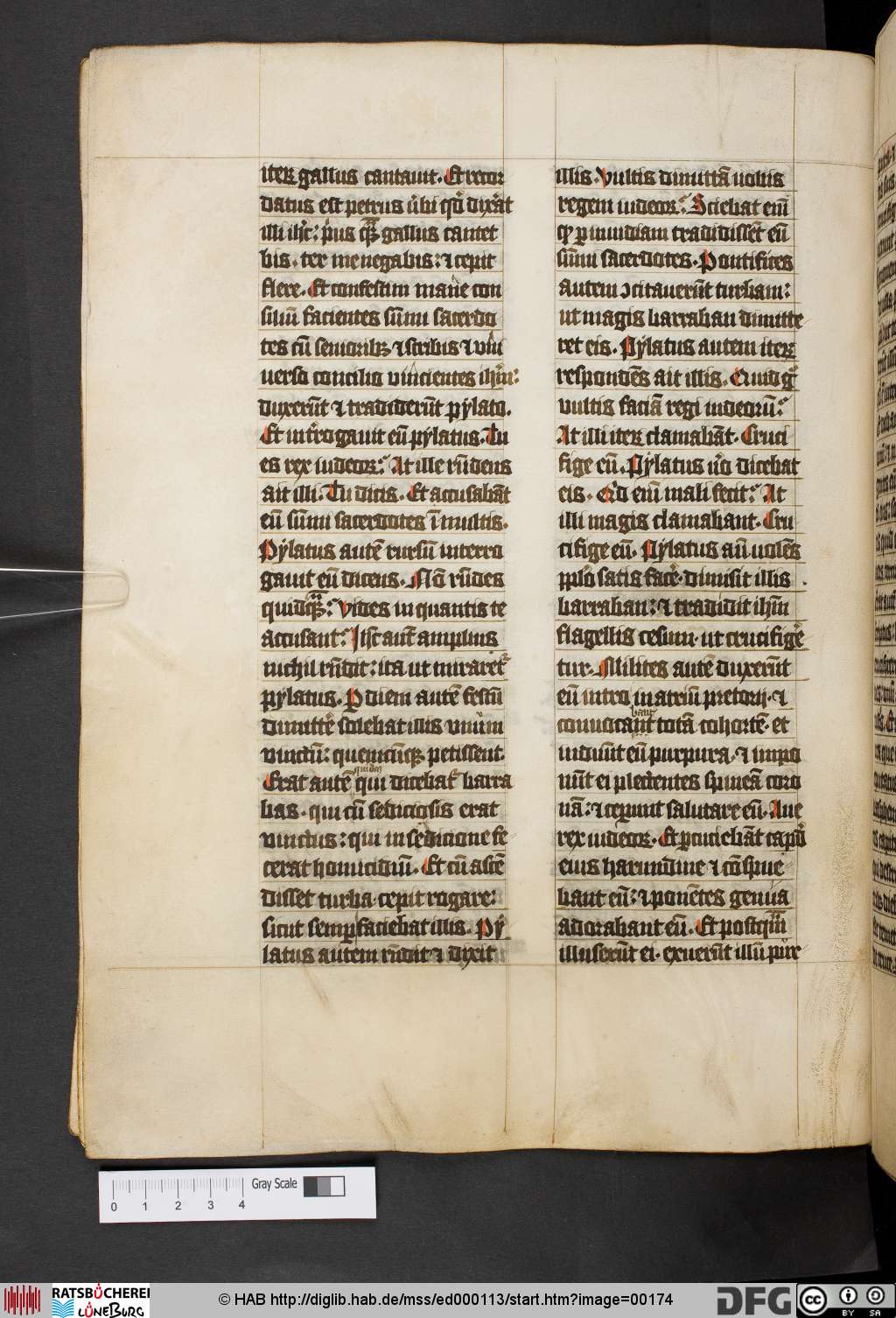 http://diglib.hab.de/mss/ed000113/00174.jpg