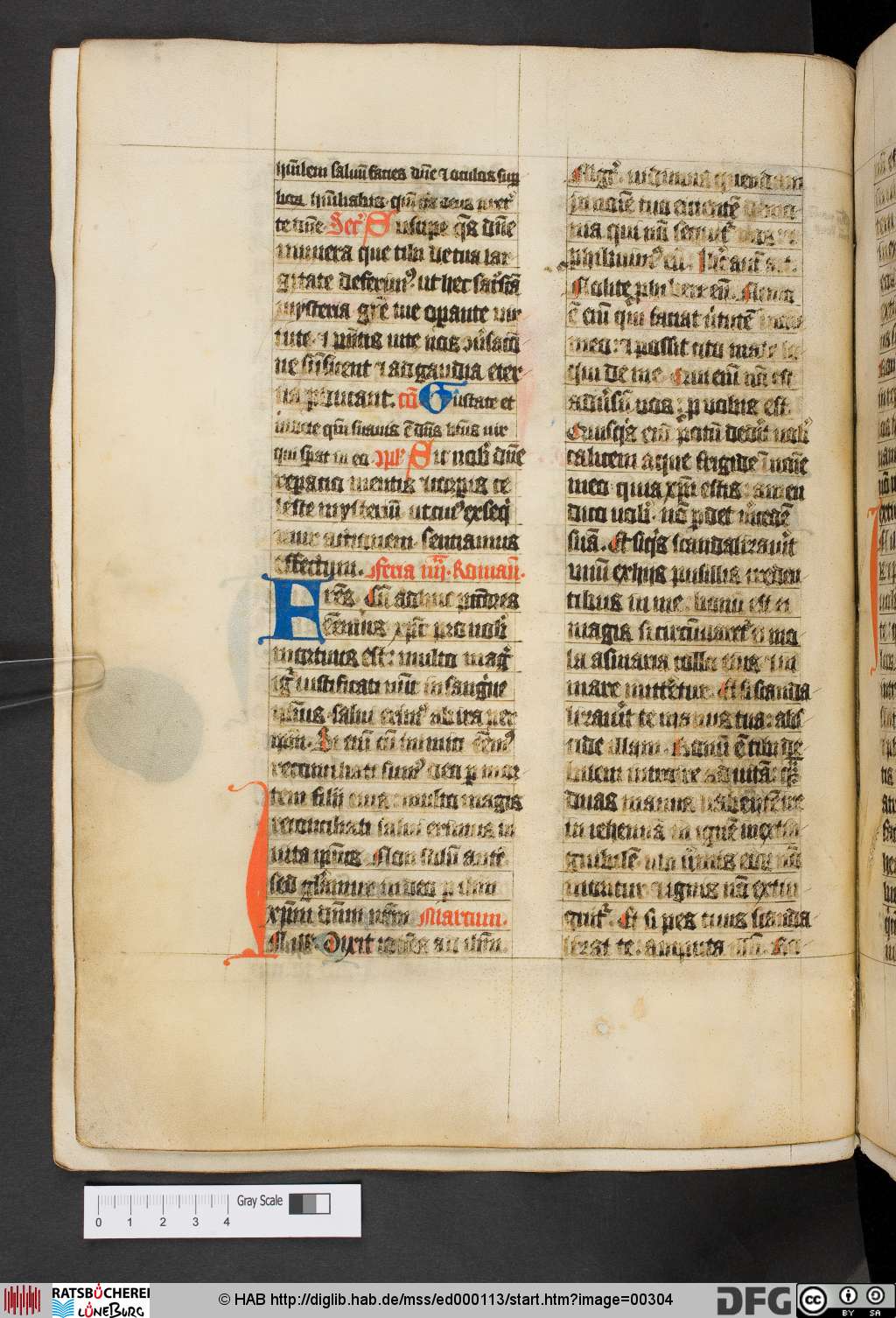 http://diglib.hab.de/mss/ed000113/00304.jpg
