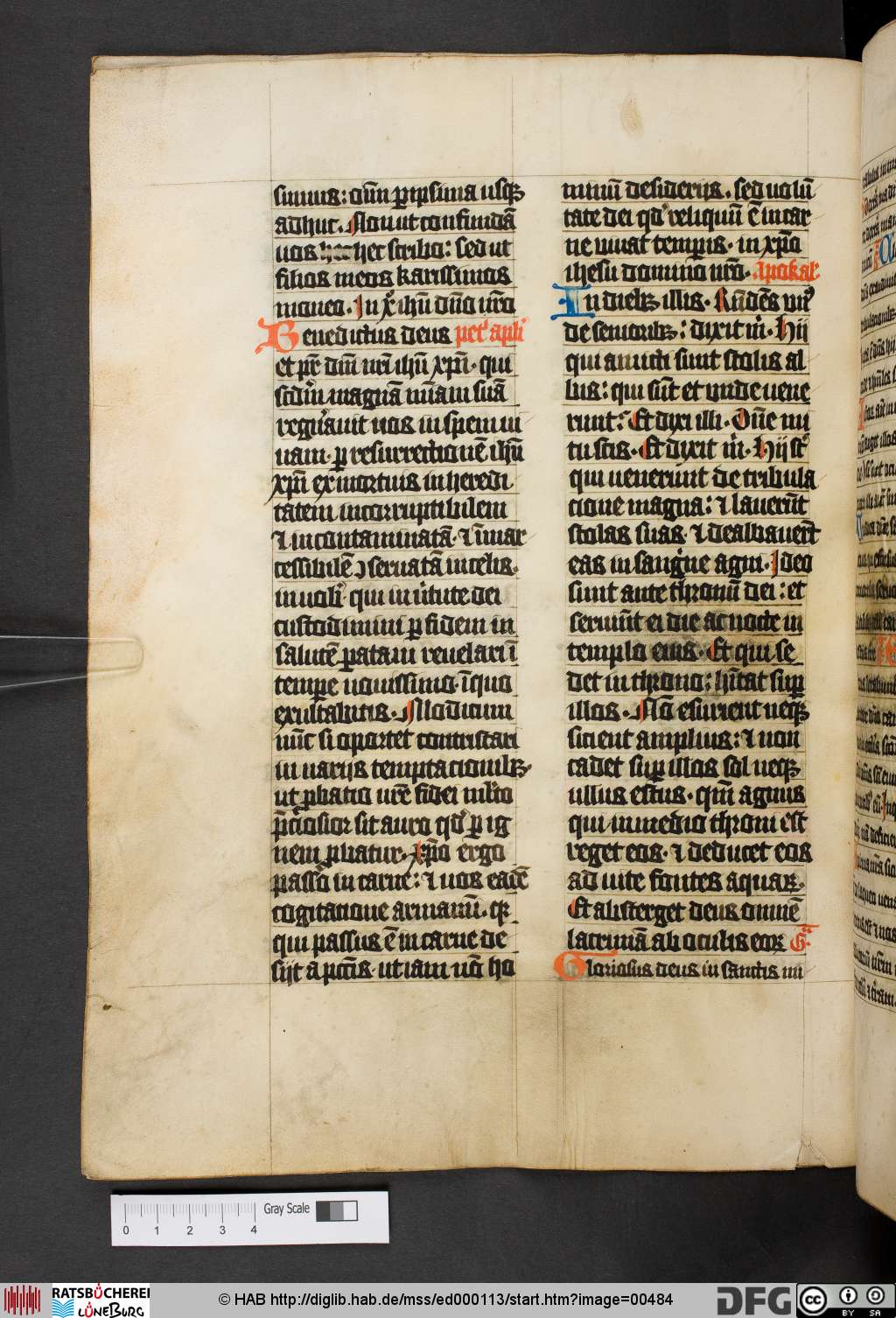 http://diglib.hab.de/mss/ed000113/00484.jpg
