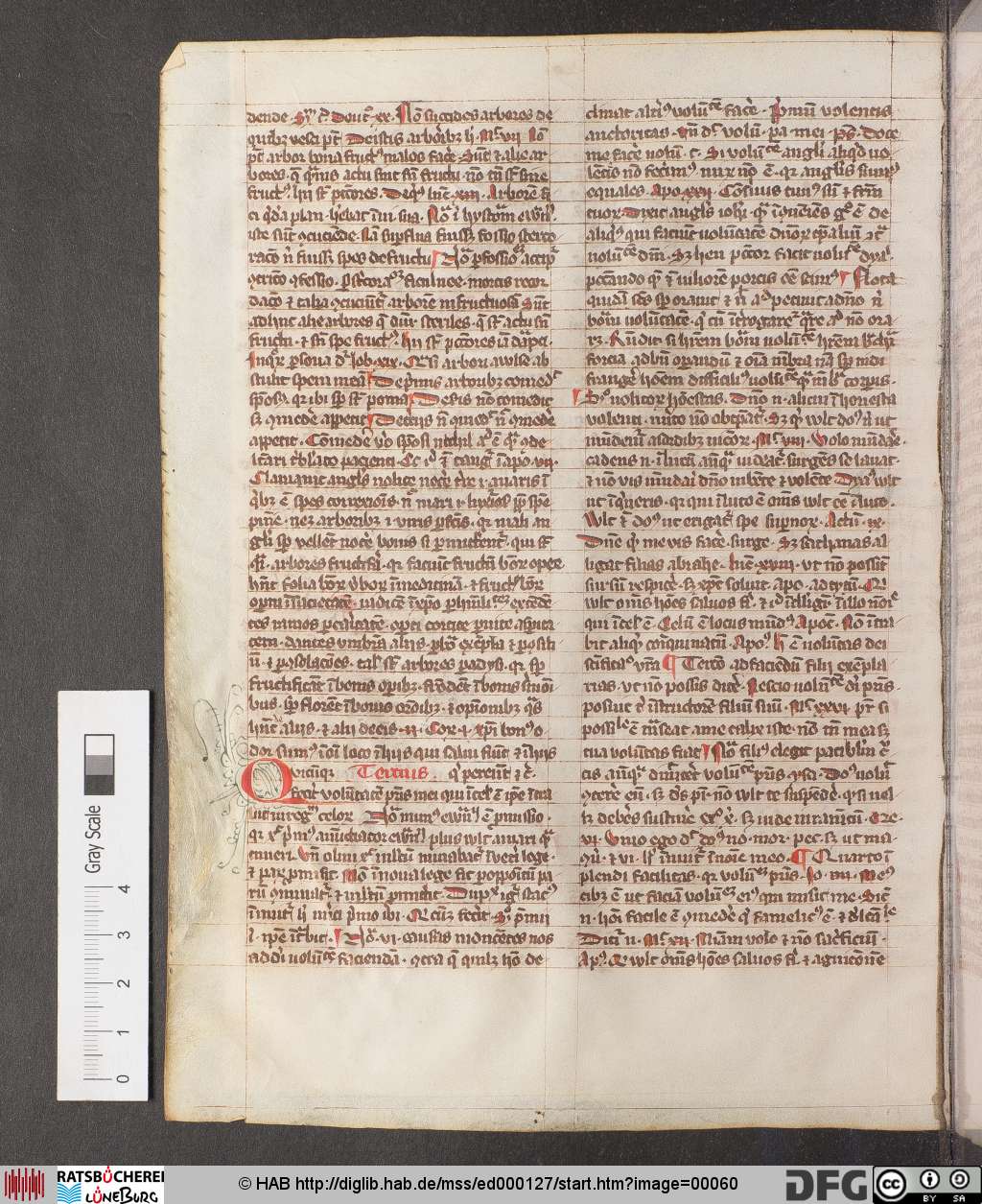 http://diglib.hab.de/mss/ed000127/00060.jpg