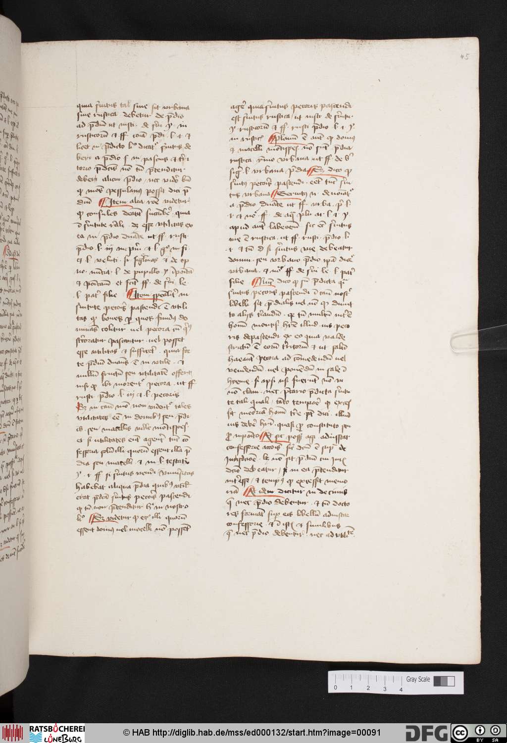 http://diglib.hab.de/mss/ed000132/00091.jpg