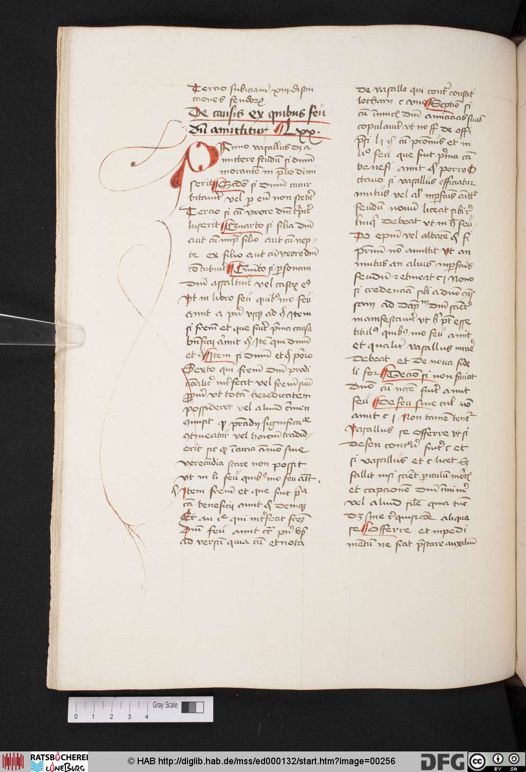 http://diglib.hab.de/mss/ed000132/00256.jpg