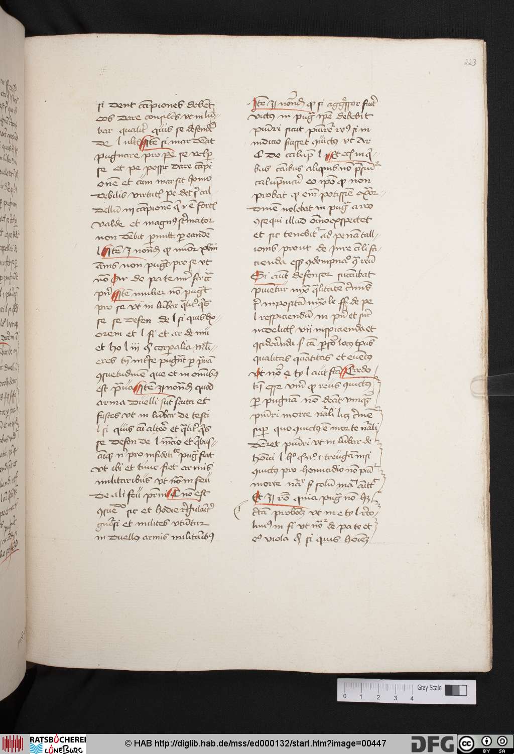 http://diglib.hab.de/mss/ed000132/00447.jpg