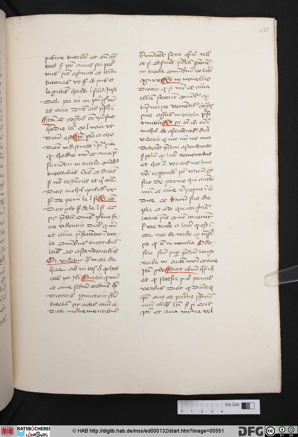 http://diglib.hab.de/mss/ed000132/00551.jpg