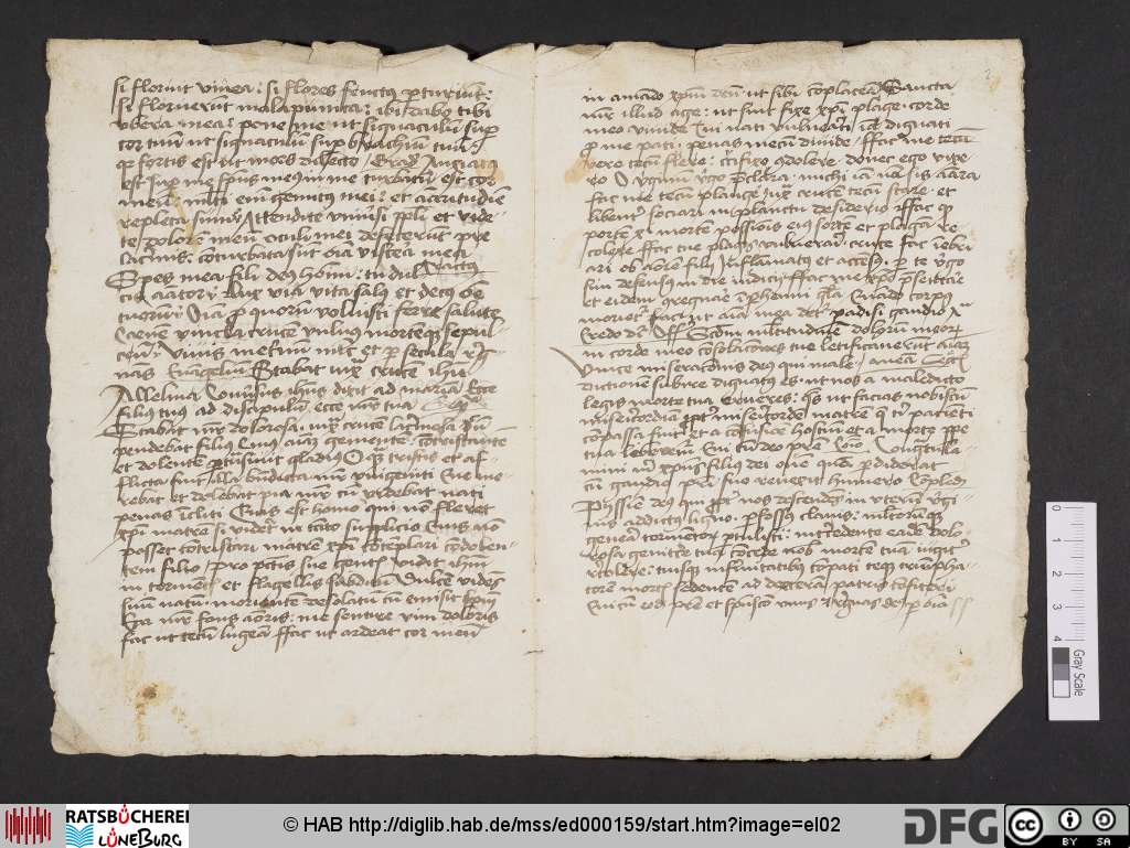http://diglib.hab.de/mss/ed000159/el02.jpg