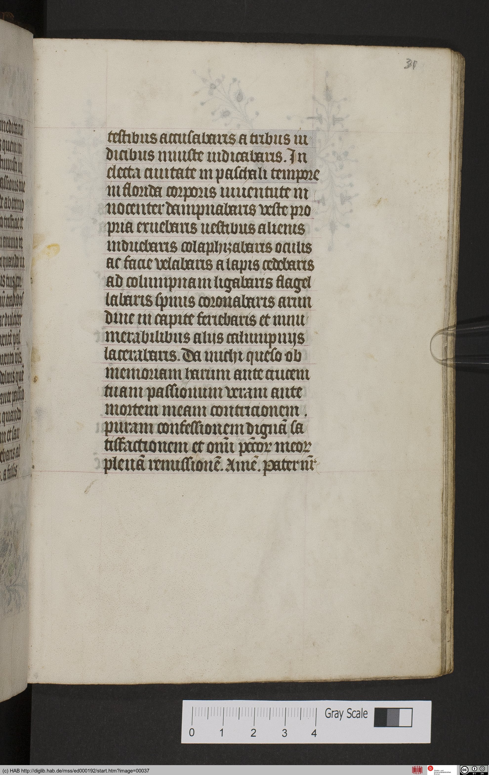 http://diglib.hab.de/mss/ed000192/max/00037.jpg