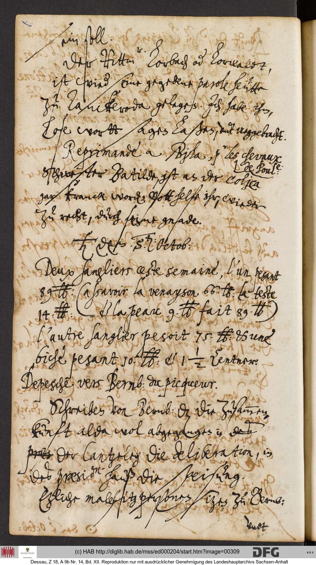 http://diglib.hab.de/mss/ed000204/00309.jpg