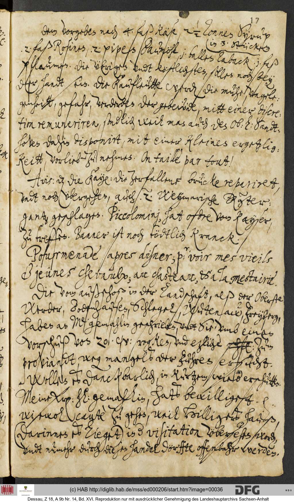 http://diglib.hab.de/mss/ed000206/00036.jpg