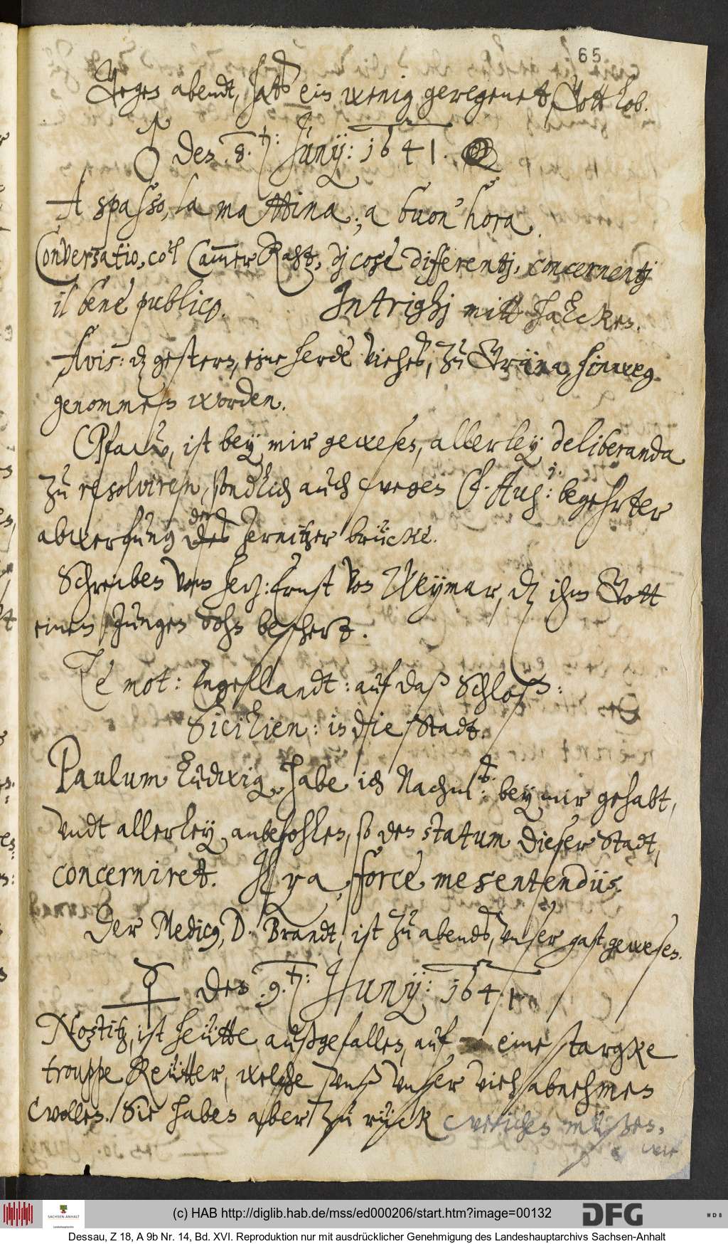 http://diglib.hab.de/mss/ed000206/00132.jpg