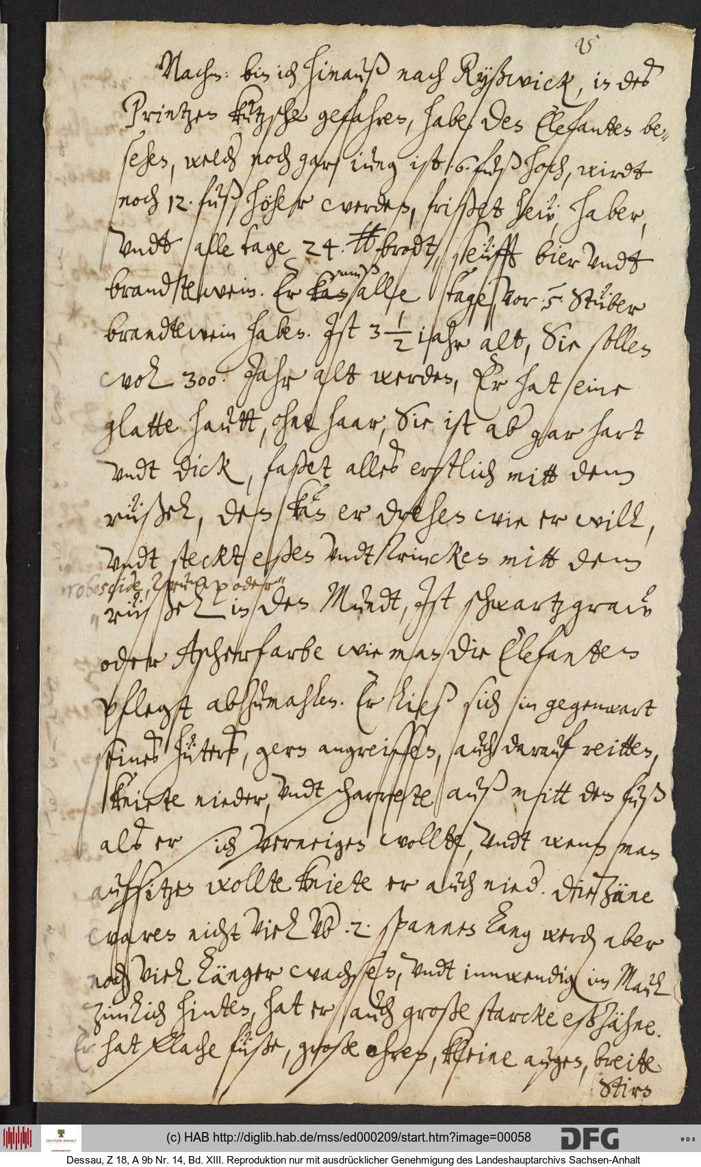 http://diglib.hab.de/mss/ed000209/00058.jpg