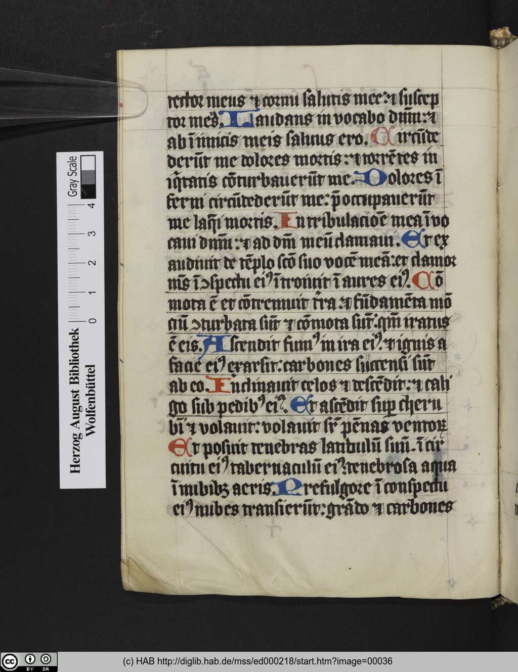 http://diglib.hab.de/mss/ed000218/00036.jpg