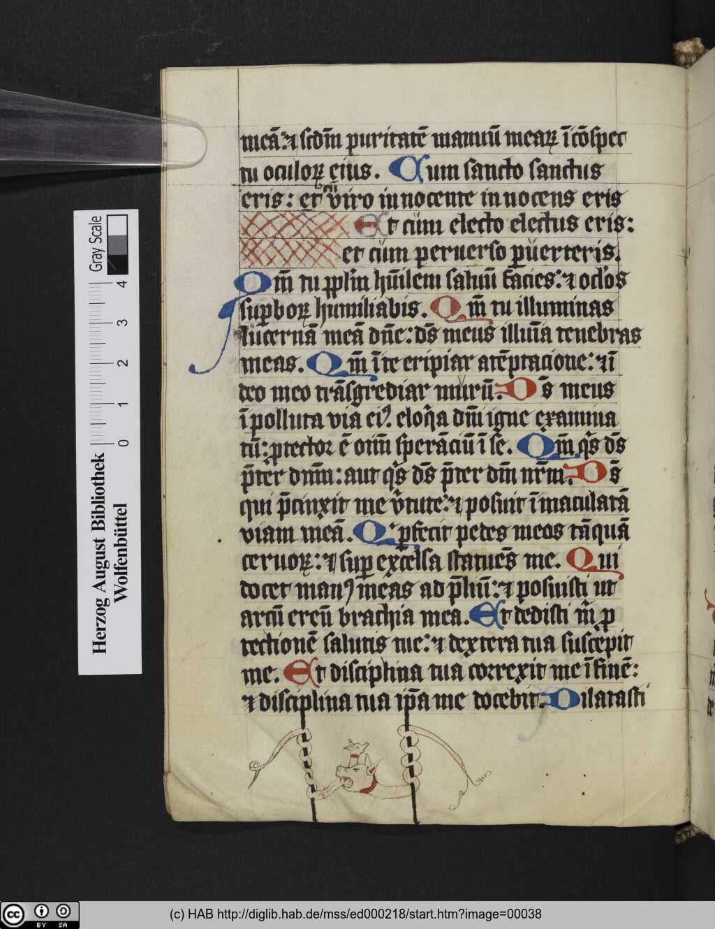 http://diglib.hab.de/mss/ed000218/00038.jpg