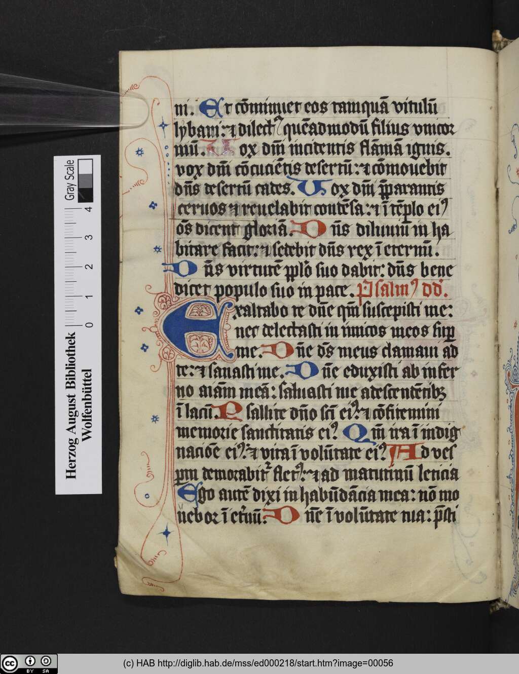 http://diglib.hab.de/mss/ed000218/00056.jpg