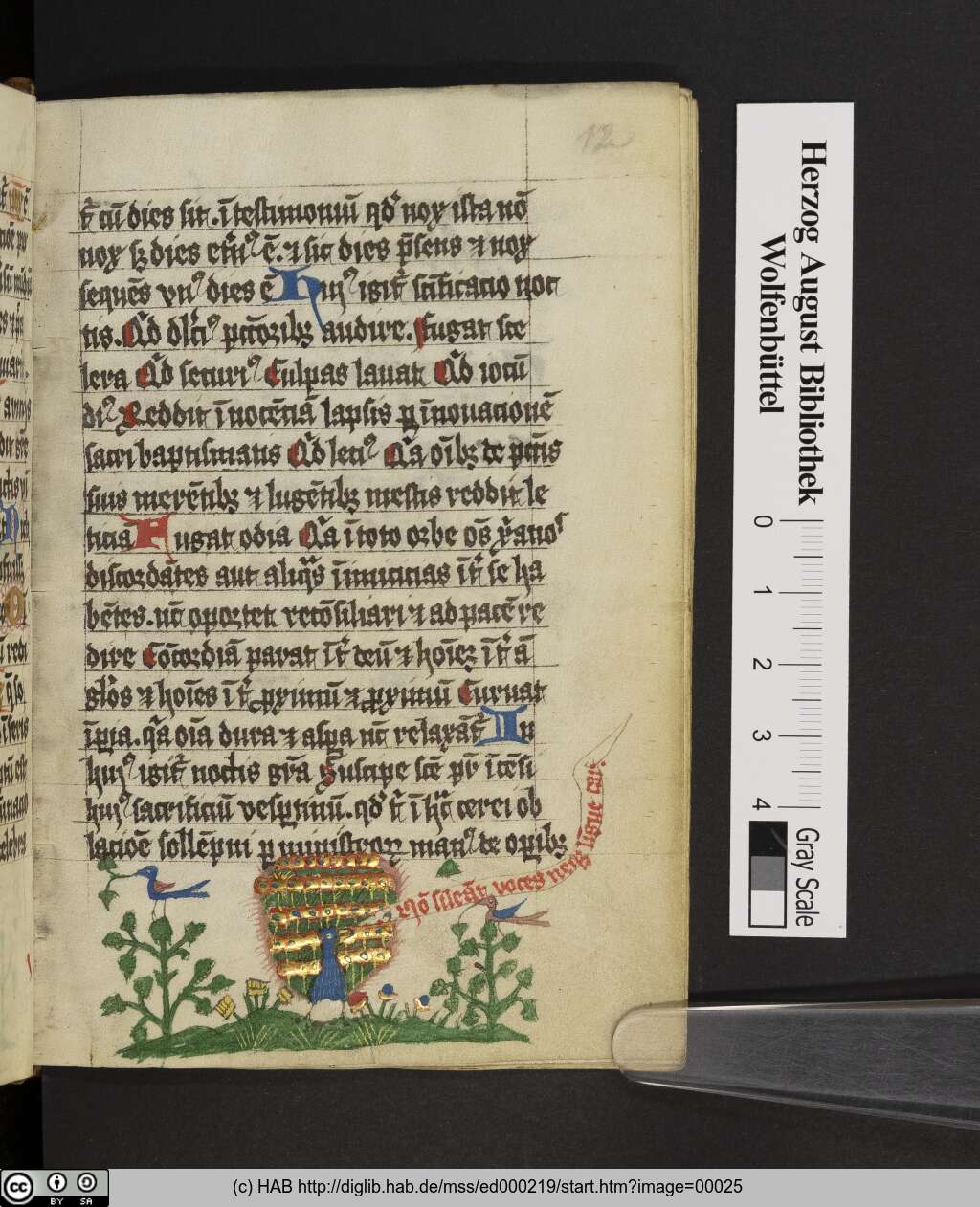 http://diglib.hab.de/mss/ed000219/00025.jpg
