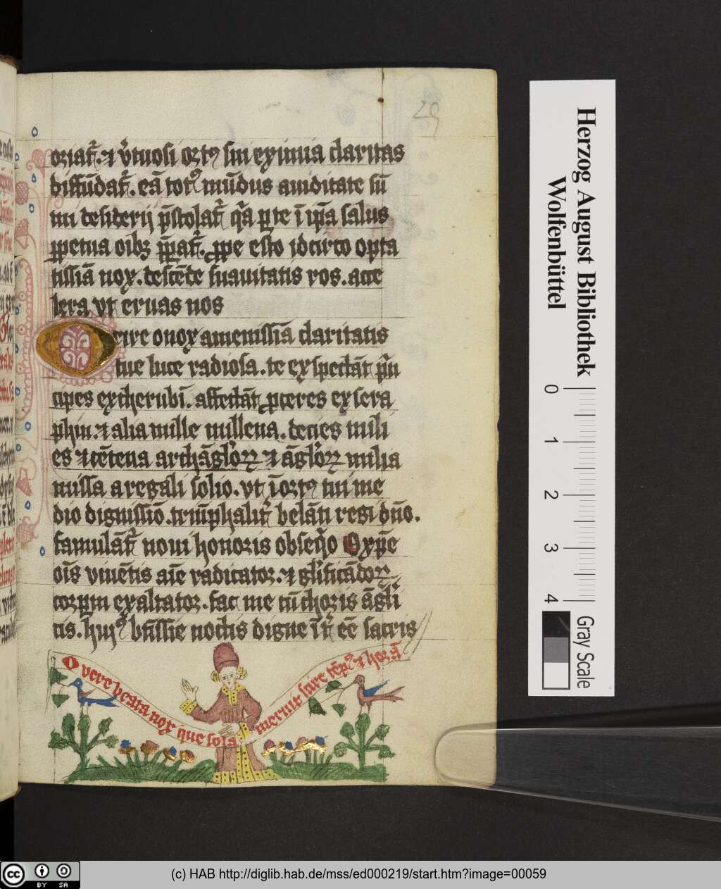 http://diglib.hab.de/mss/ed000219/00059.jpg