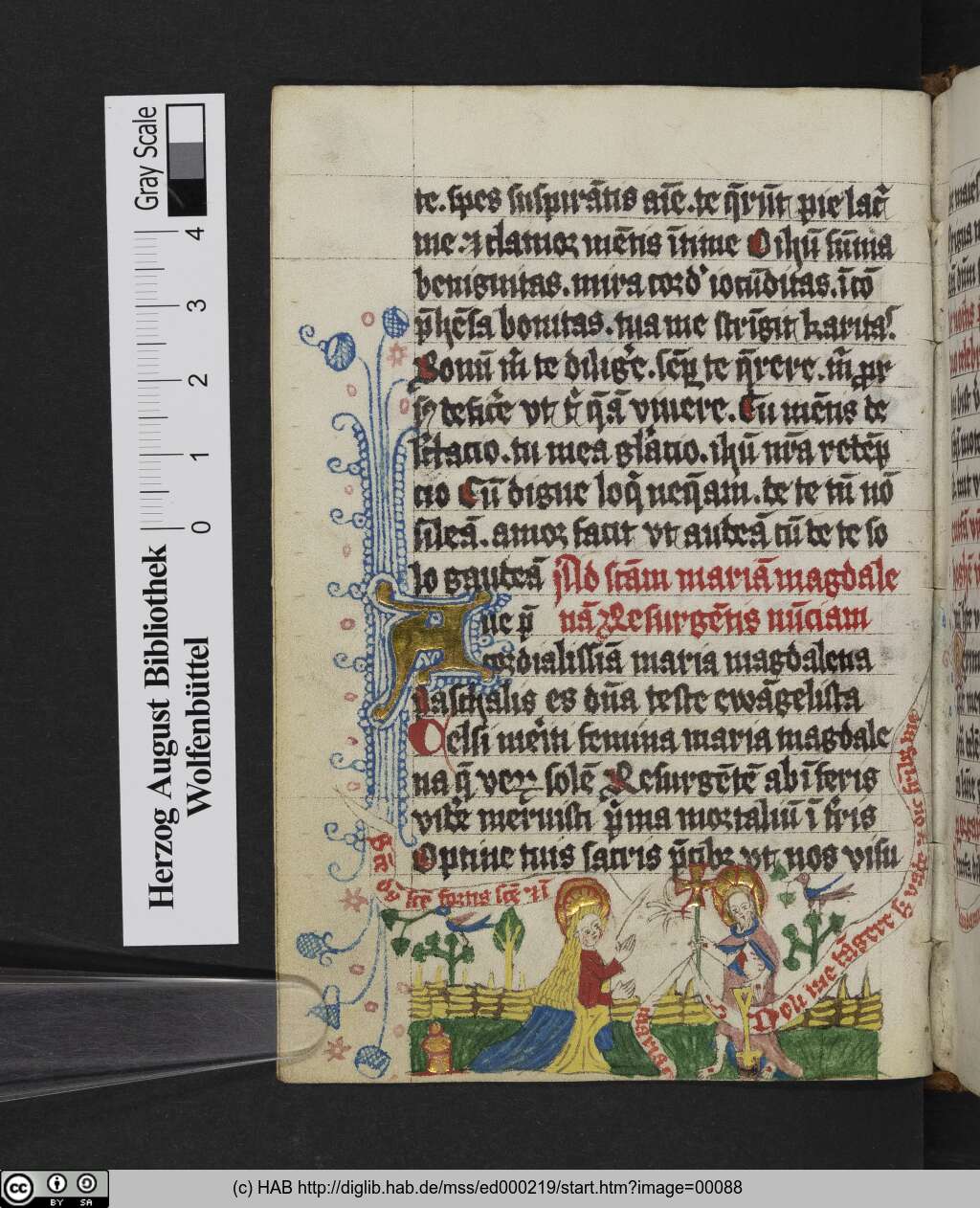 http://diglib.hab.de/mss/ed000219/00088.jpg