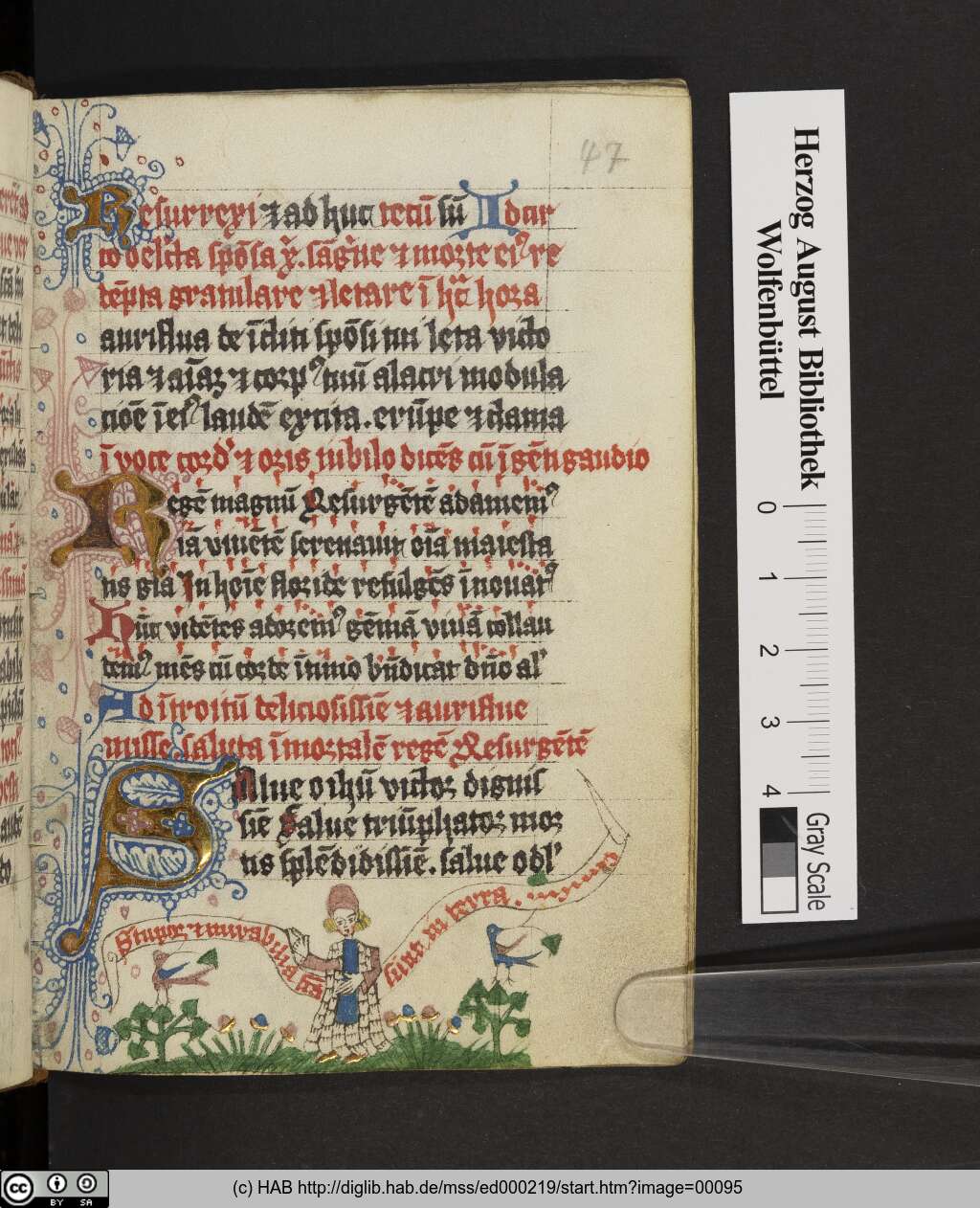 http://diglib.hab.de/mss/ed000219/00095.jpg