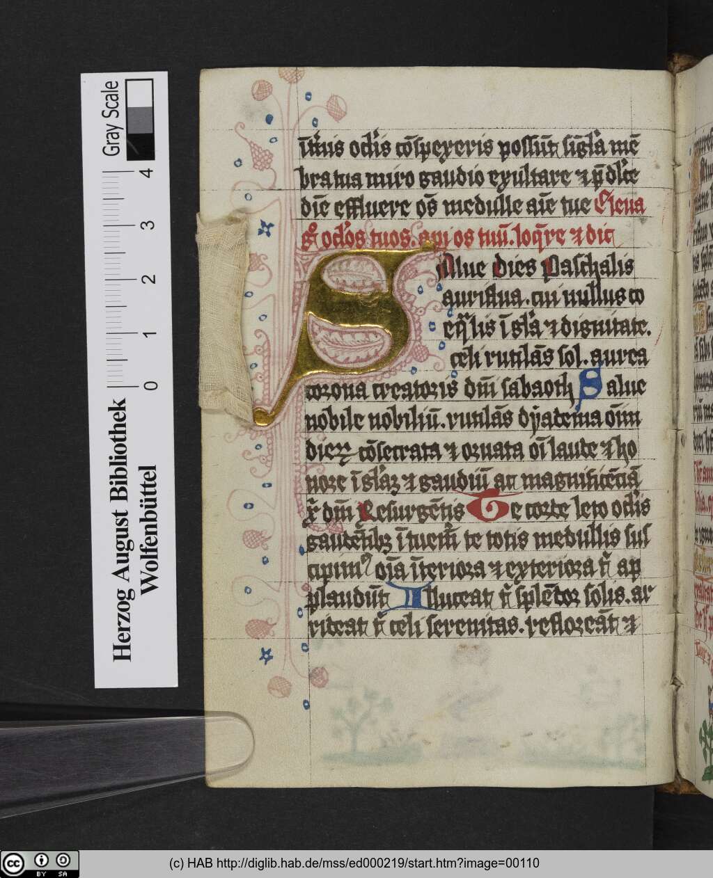 http://diglib.hab.de/mss/ed000219/00110.jpg
