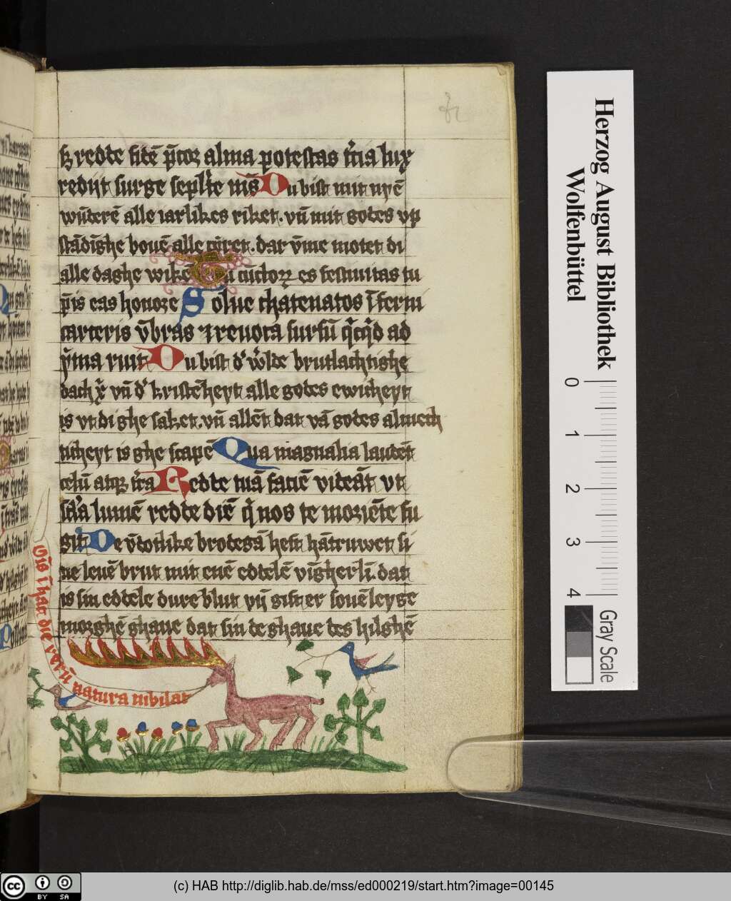 http://diglib.hab.de/mss/ed000219/00145.jpg