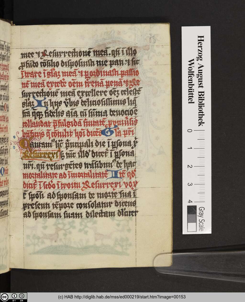 http://diglib.hab.de/mss/ed000219/00153.jpg