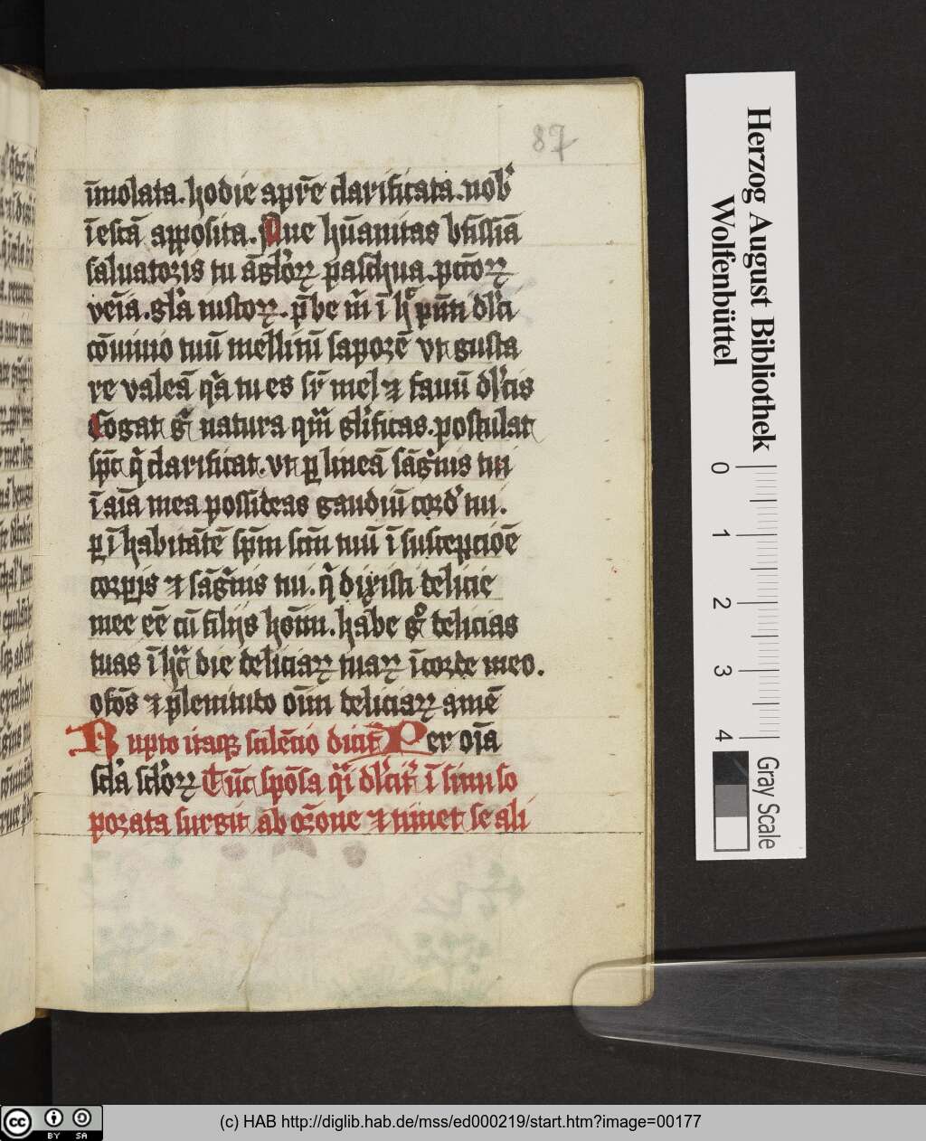 http://diglib.hab.de/mss/ed000219/00177.jpg