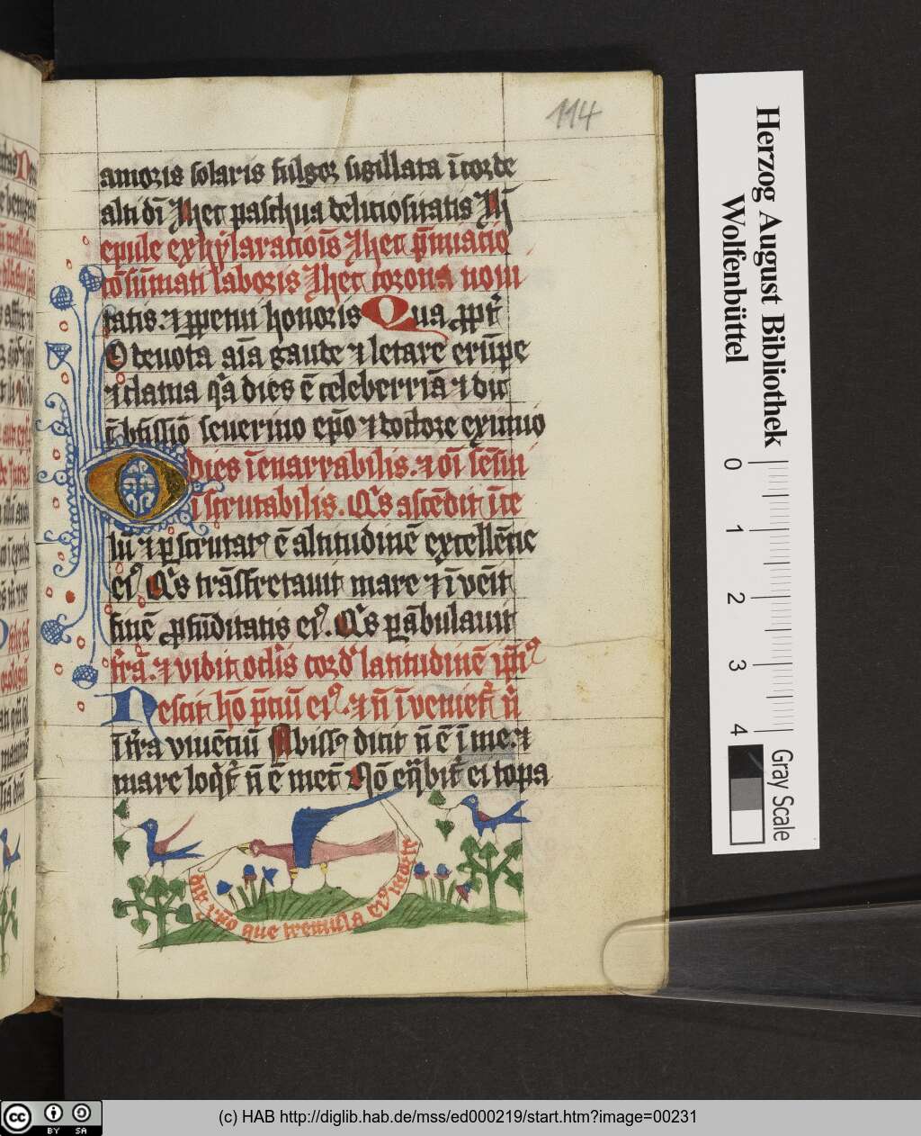 http://diglib.hab.de/mss/ed000219/00231.jpg