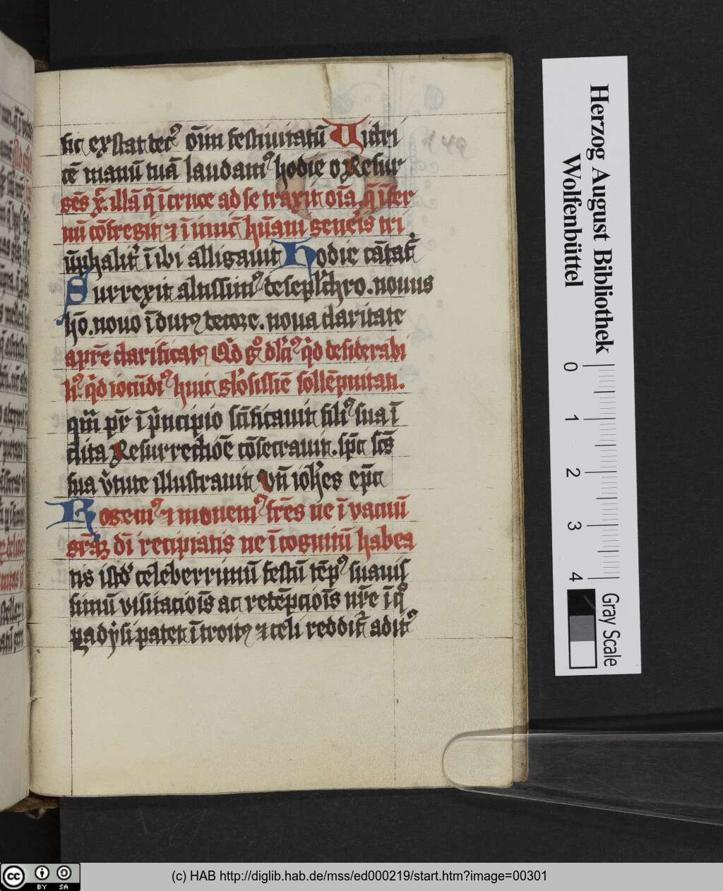 http://diglib.hab.de/mss/ed000219/00301.jpg