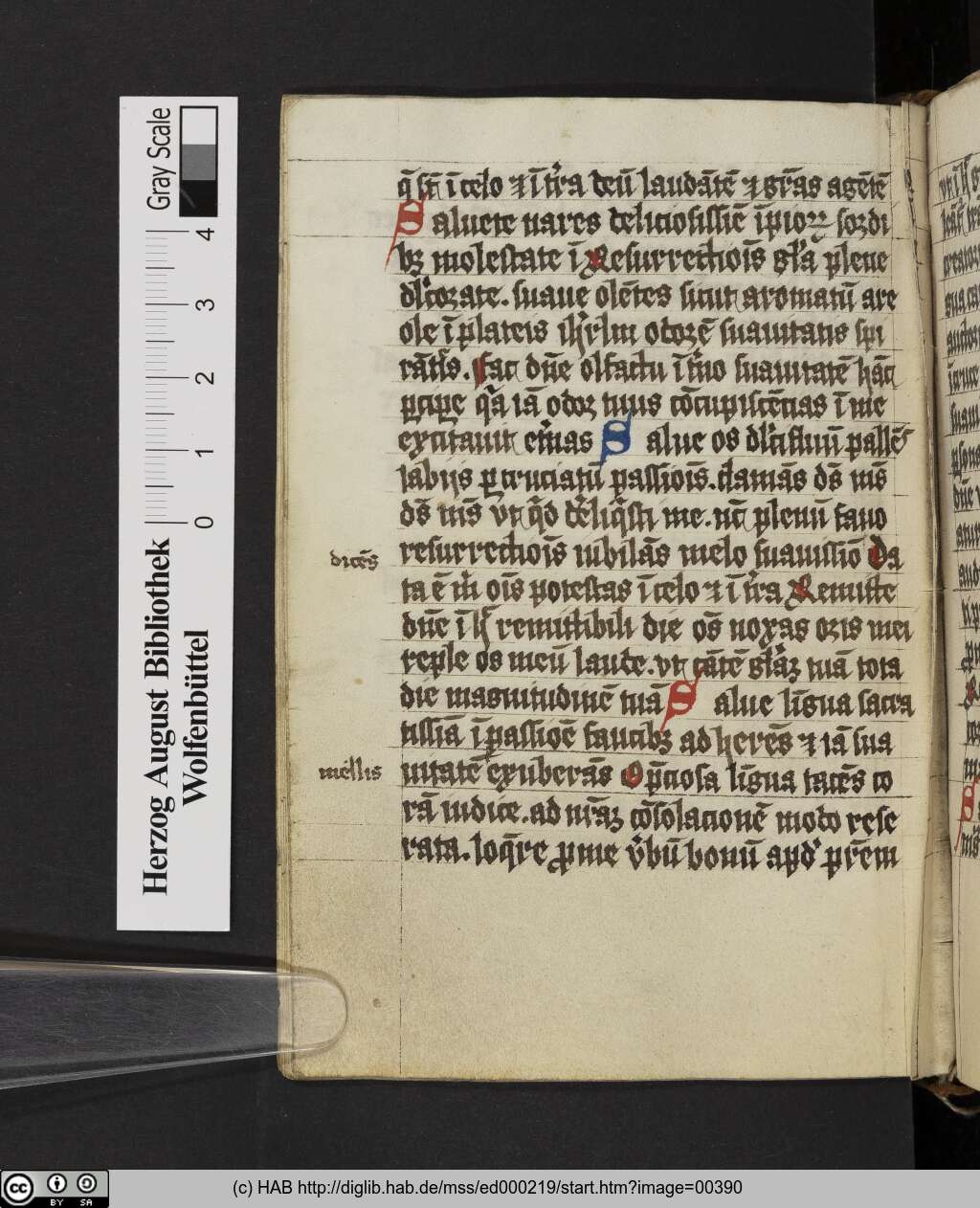 http://diglib.hab.de/mss/ed000219/00390.jpg