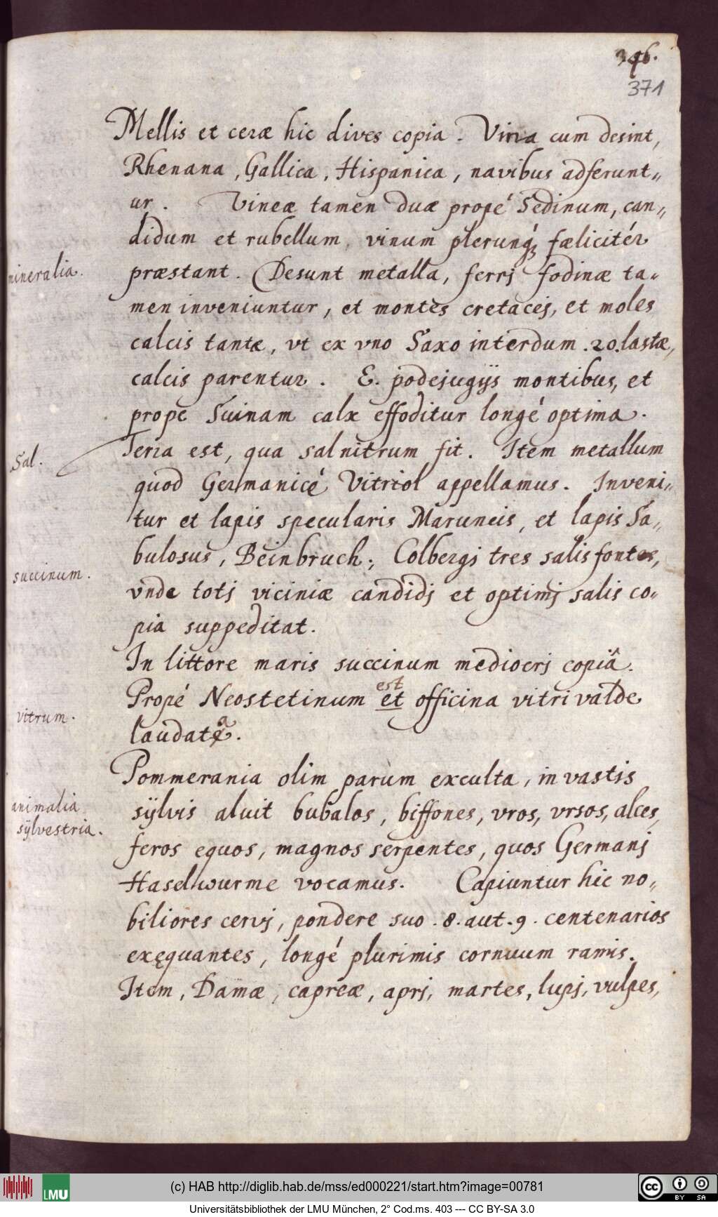 http://diglib.hab.de/mss/ed000221/00781.jpg