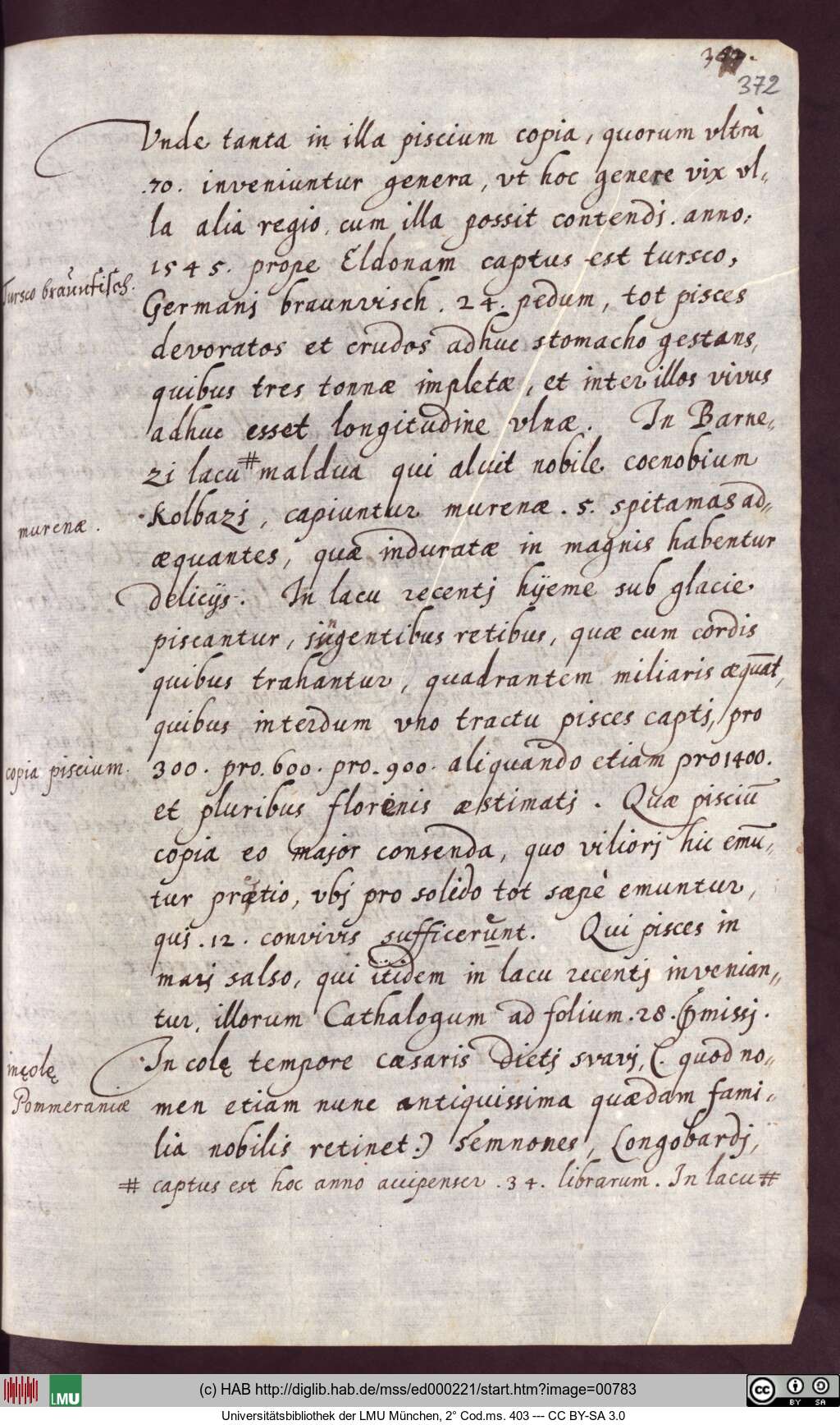 http://diglib.hab.de/mss/ed000221/00783.jpg