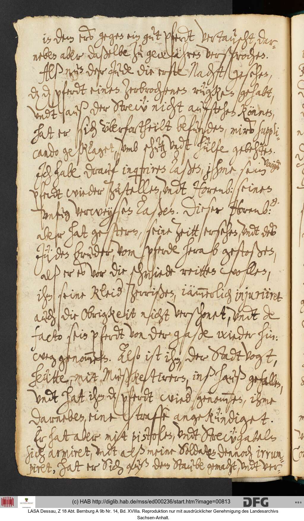 http://diglib.hab.de/mss/ed000236/00813.jpg