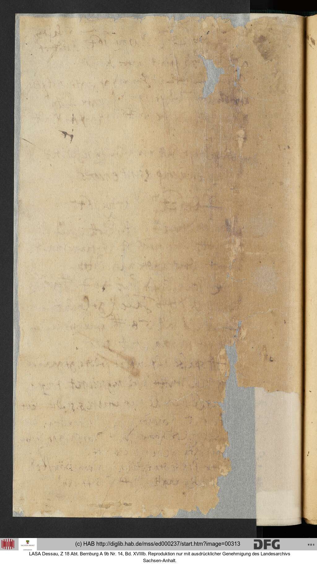 http://diglib.hab.de/mss/ed000237/00313.jpg