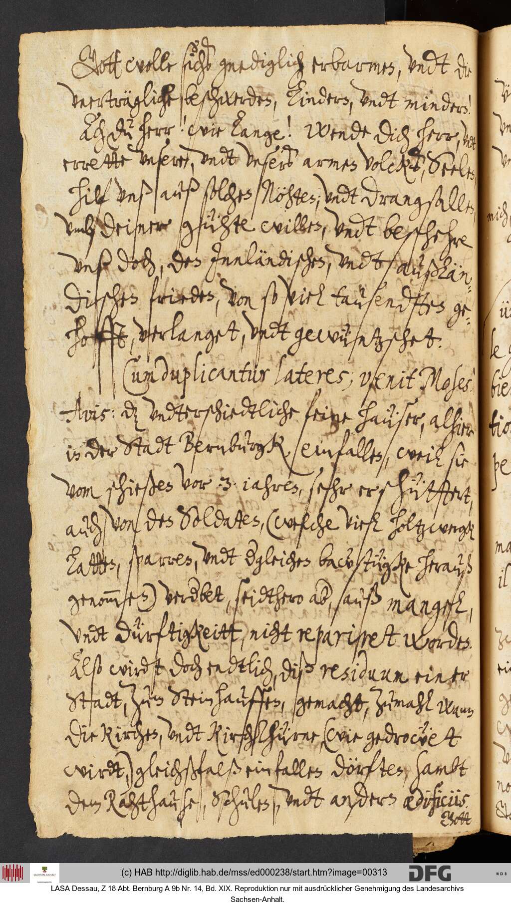 http://diglib.hab.de/mss/ed000238/00313.jpg