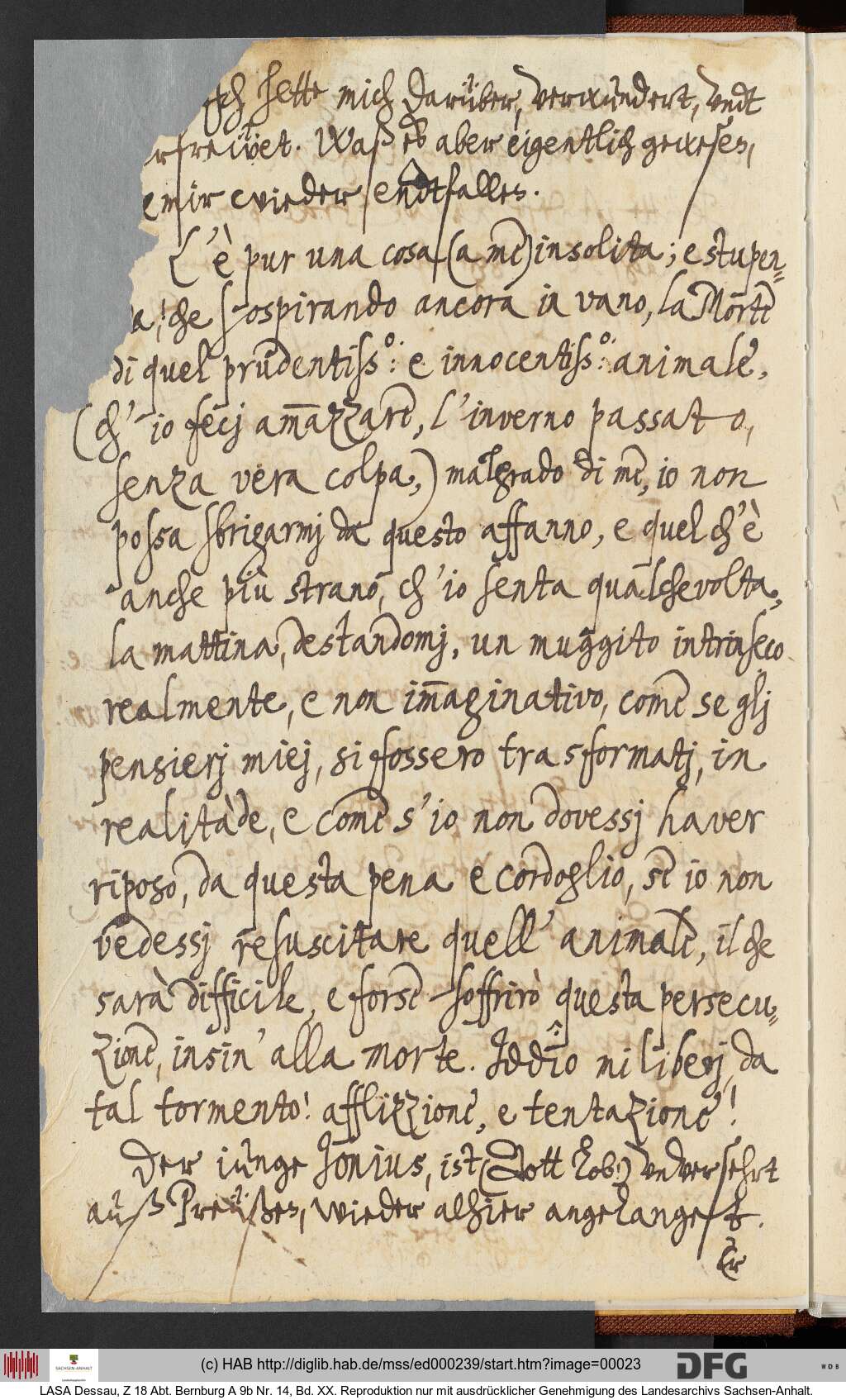 http://diglib.hab.de/mss/ed000239/00023.jpg