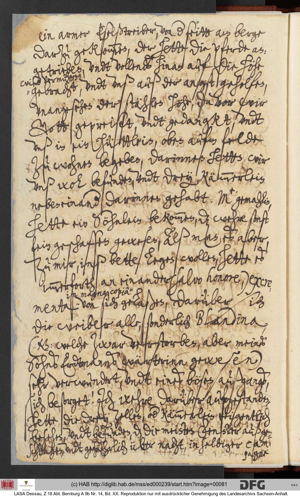 http://diglib.hab.de/mss/ed000239/00081.jpg