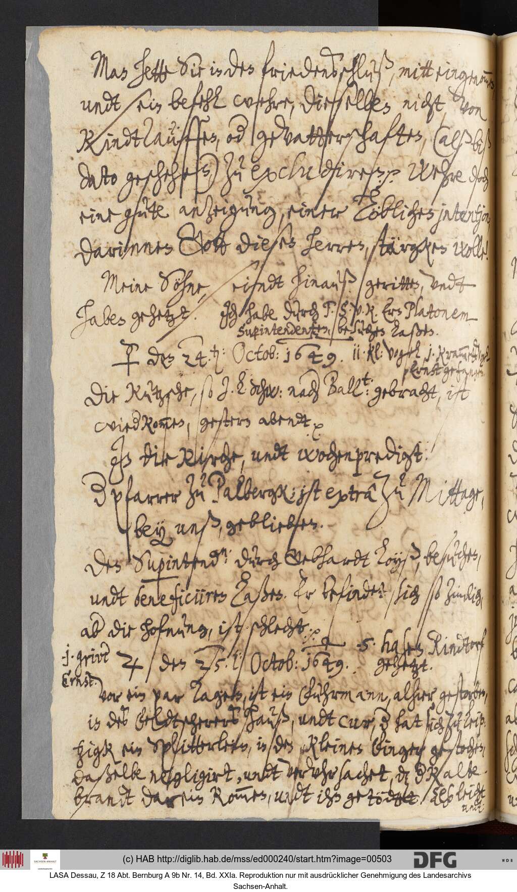 http://diglib.hab.de/mss/ed000240/00503.jpg