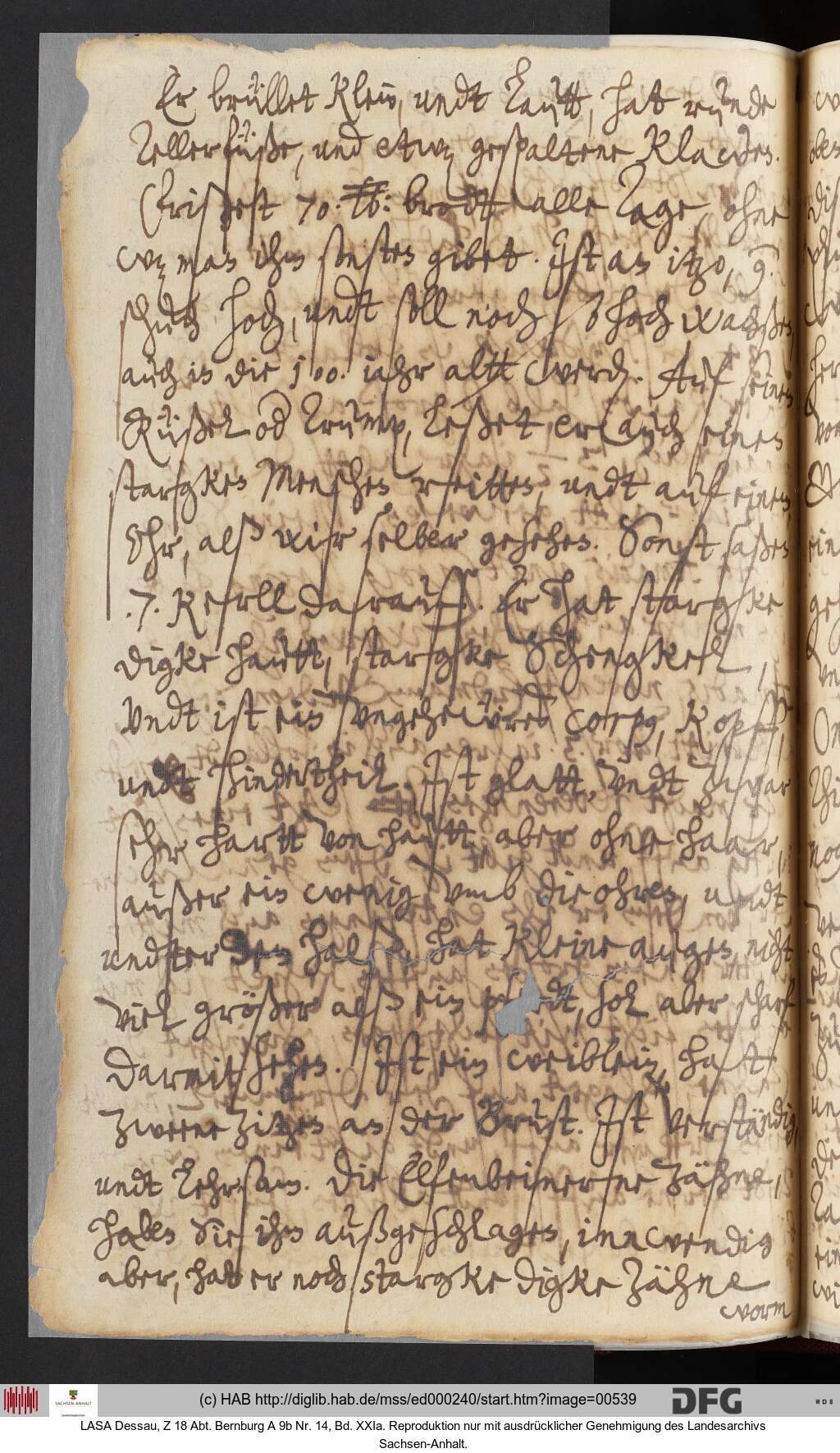 http://diglib.hab.de/mss/ed000240/00539.jpg