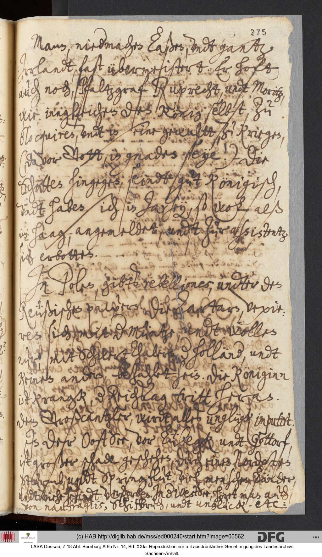 http://diglib.hab.de/mss/ed000240/00562.jpg