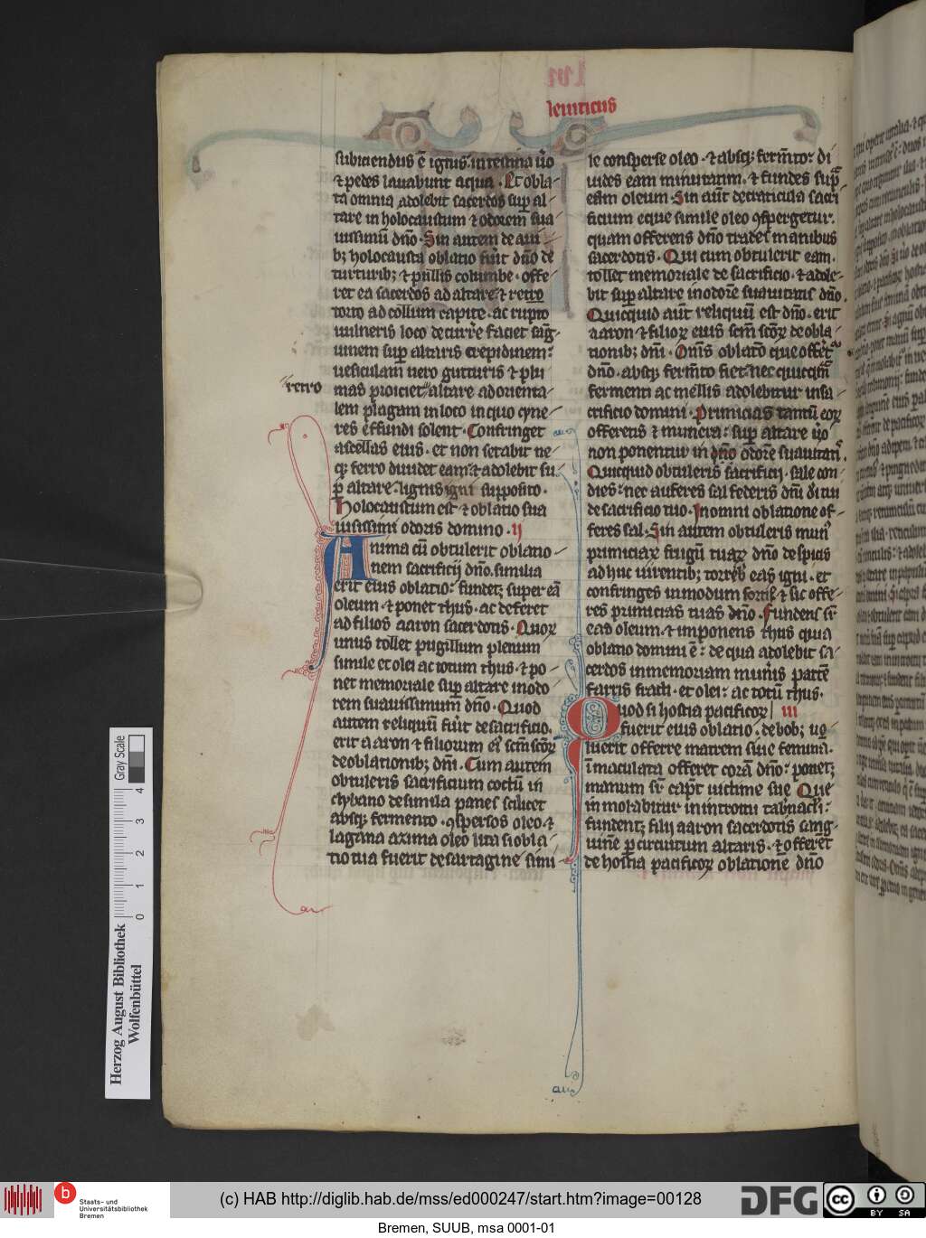 http://diglib.hab.de/mss/ed000247/00128.jpg