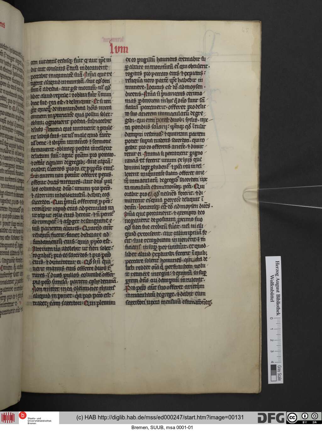 http://diglib.hab.de/mss/ed000247/00131.jpg