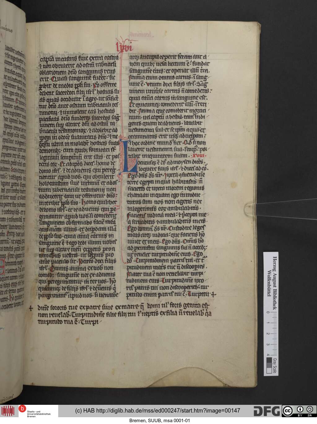 http://diglib.hab.de/mss/ed000247/00147.jpg