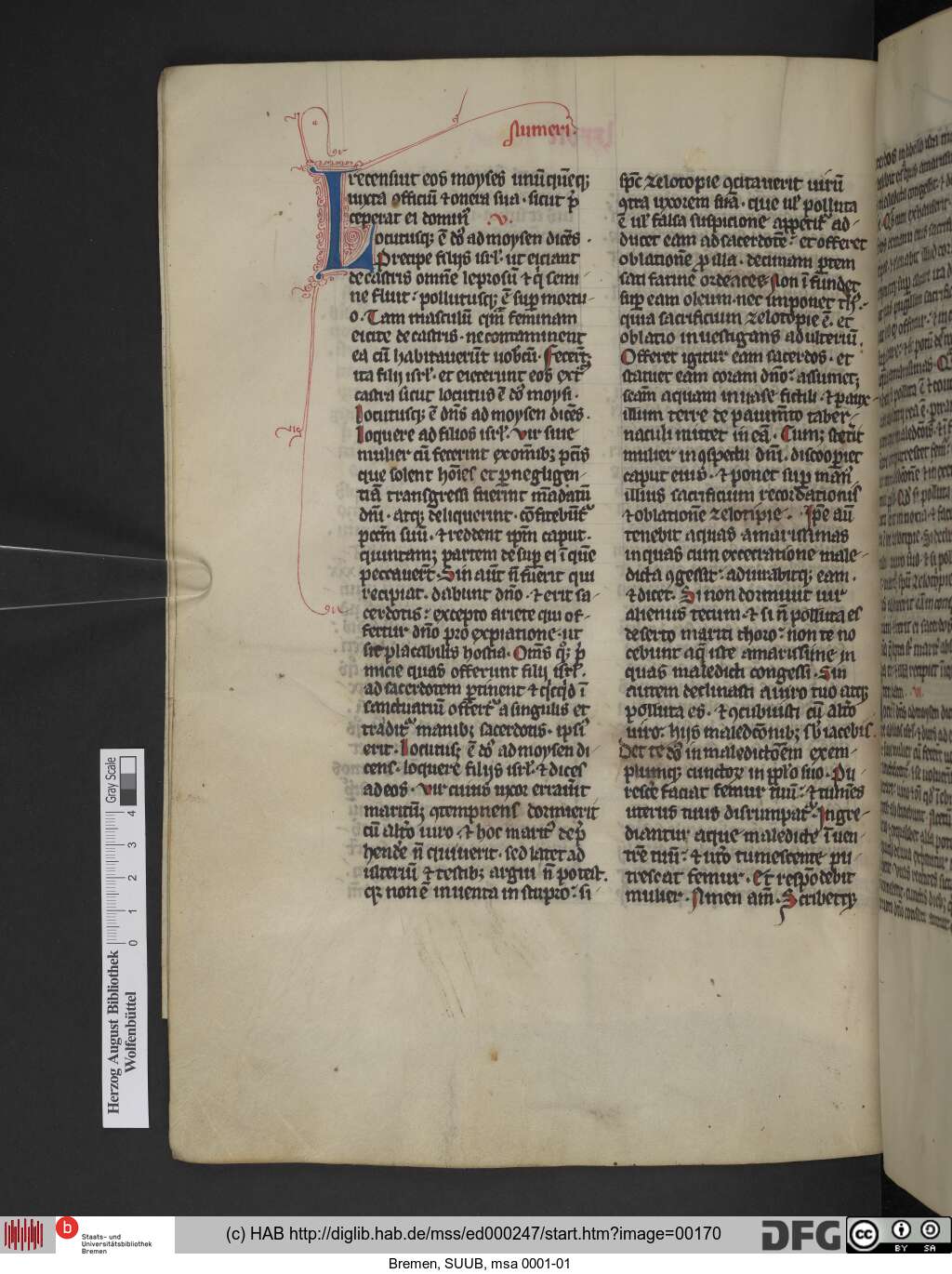 http://diglib.hab.de/mss/ed000247/00170.jpg