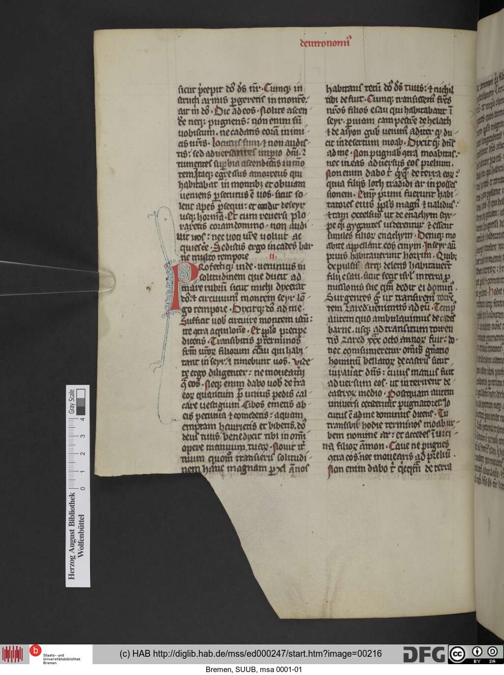 http://diglib.hab.de/mss/ed000247/00216.jpg