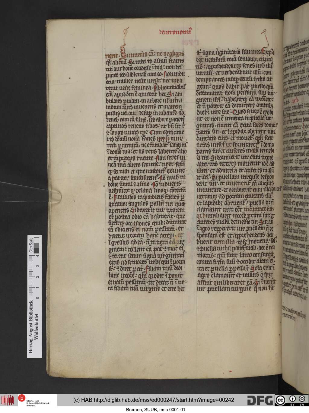 http://diglib.hab.de/mss/ed000247/00242.jpg