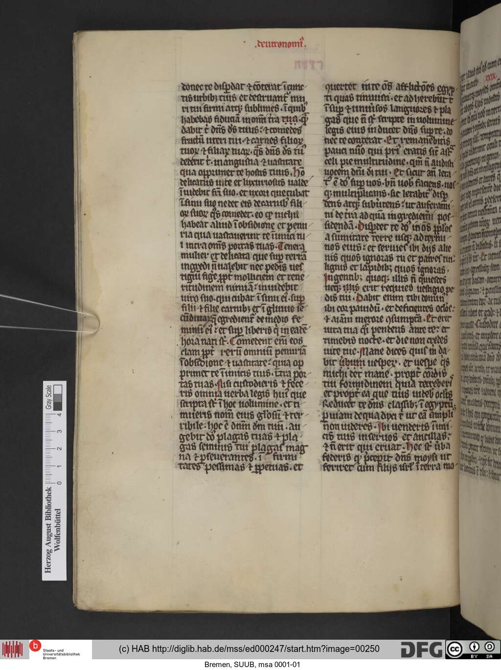 http://diglib.hab.de/mss/ed000247/00250.jpg