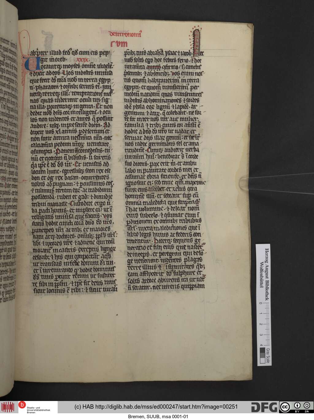 http://diglib.hab.de/mss/ed000247/00251.jpg