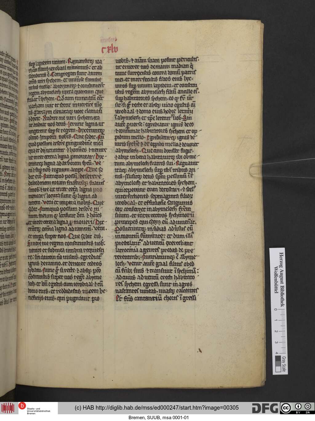 http://diglib.hab.de/mss/ed000247/00305.jpg